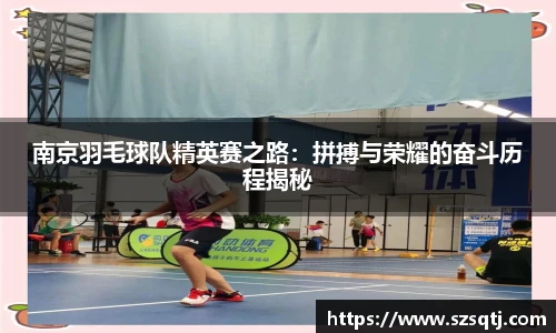 南京羽毛球队精英赛之路：拼搏与荣耀的奋斗历程揭秘